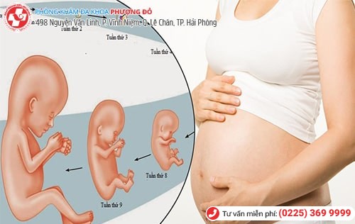 Phá thai bao nhiêu tuần an toàn