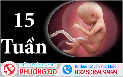 Thai 15 tuần phá được không?